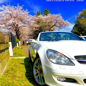 SLK R171