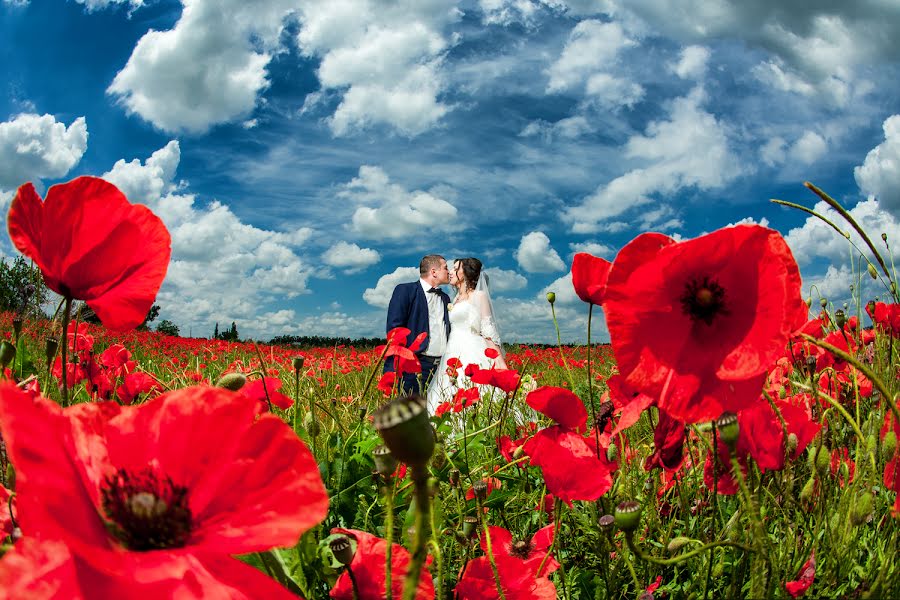 Fotograful de nuntă Nikolay Khorkov (zooom). Fotografia din 24 august 2015