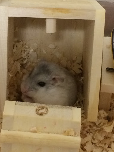 かるの