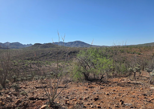 Buy this luxury land in Tubac (United States)