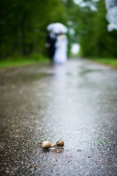 Bröllopsfotograf Evelina Pavel (sypsokites). Foto av 9 juni 2014