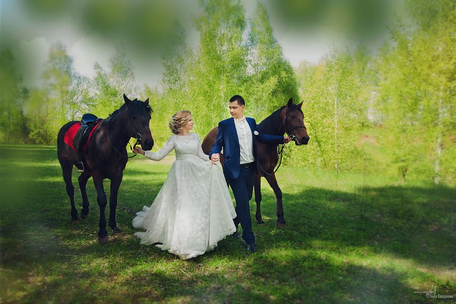 Wedding photographer Olga Kolodkina (fotoolga48). Photo of 22 October 2016