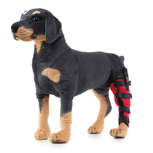 Title 8, Pet leg rehabilitation foot support. Aids in re...