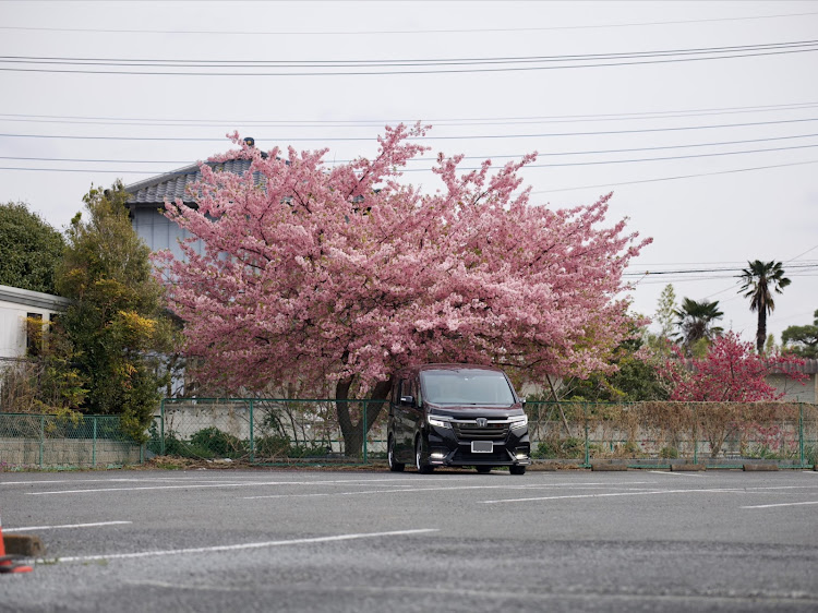 の投稿画像3枚目