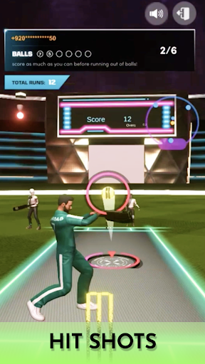 Screenshot Cricket Fly x Gamifly