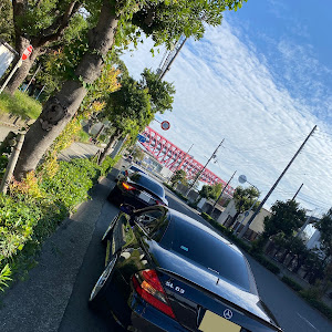 SL R230