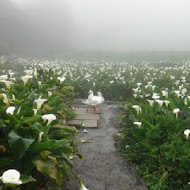 【竹子湖】苗榜花園餐廳