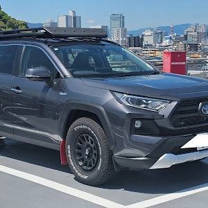 RAV4 AXAH54