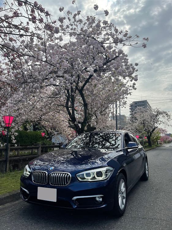 1シリーズ ハッチバックの桜とコラボ・桜と愛車に関するカスタム事例の投稿画像6枚目