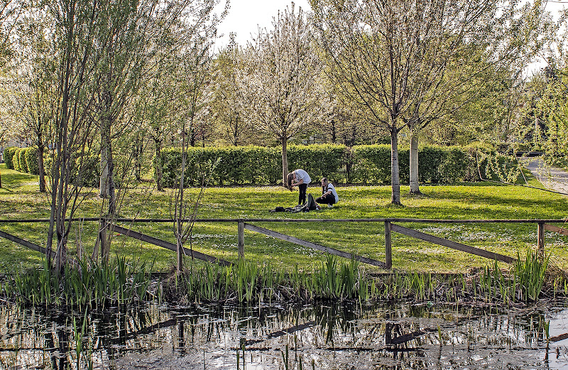 Relax nel verde  di Amadeus