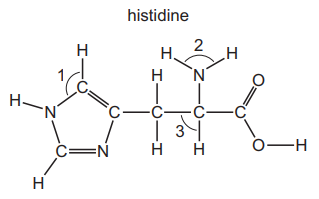 Shapes of Molecules