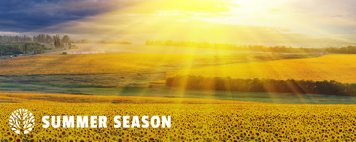 Summer Season HD Wallpaper New Tab Theme marquee promo image