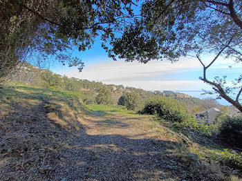 terrain à Bastia (2B)