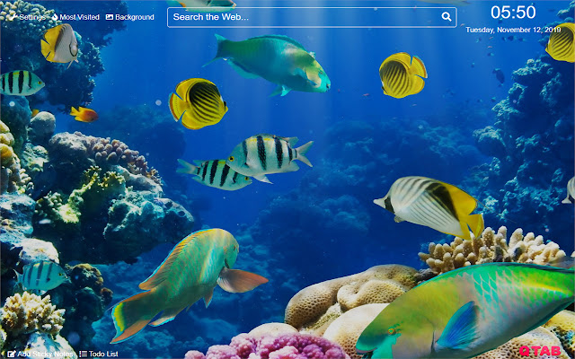 Underwater Ocean Wallpaper for New Tab