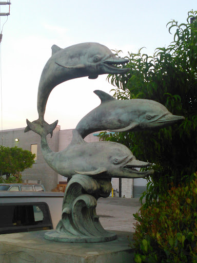 Three Dolphins