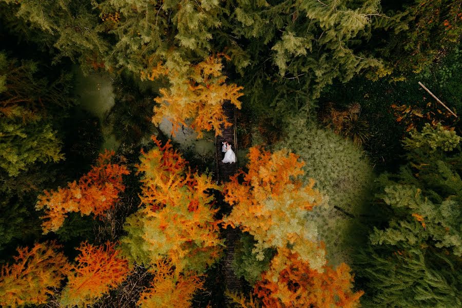 Fotógrafo de bodas Dariusz Bundyra (dabundyra). Foto del 31 de enero