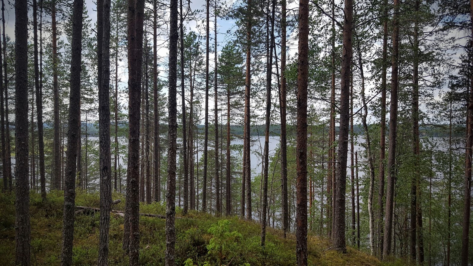 Kuusamo, Oulanka NP, Savonlinna