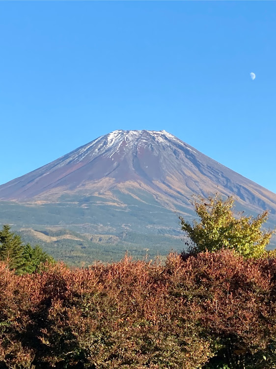 アルファードの富士山・ワキ汗・妻にバレた・般若・牧場までドライブに関するカスタム事例の投稿画像9枚目