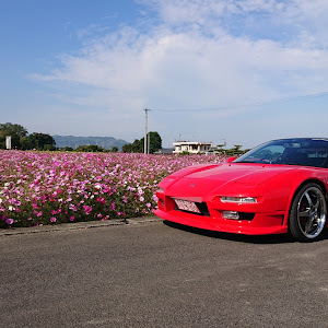 NSX NA1