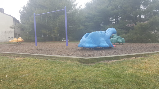 Hippo Playground