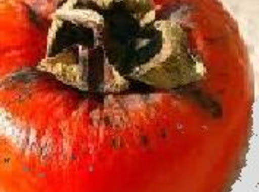 Ripe persimmon