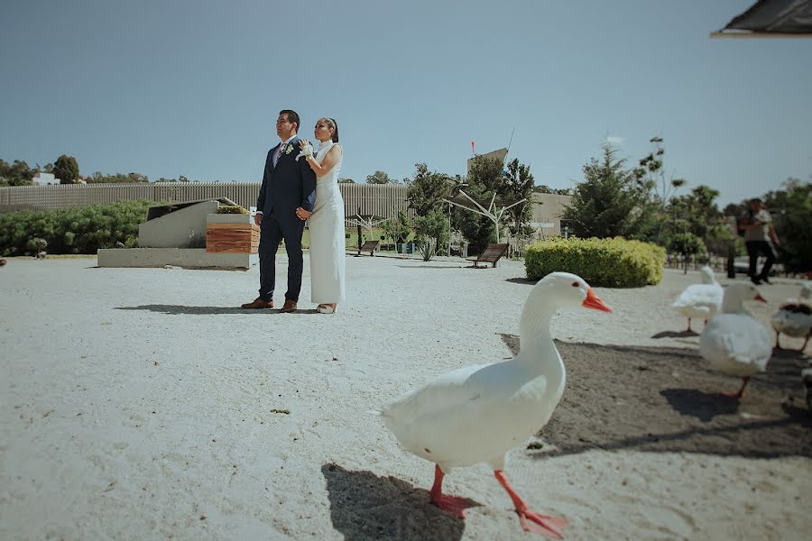 結婚式の写真家Luis Ernesto Lopez (luisernestophoto)。2018 1月25日の写真