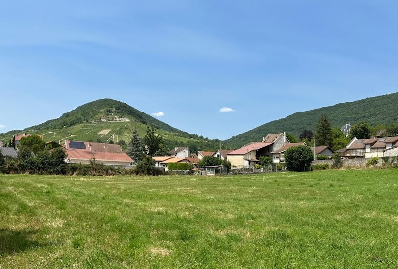  Vente Terrain à bâtir - 1 661m² à Briord (01470) 