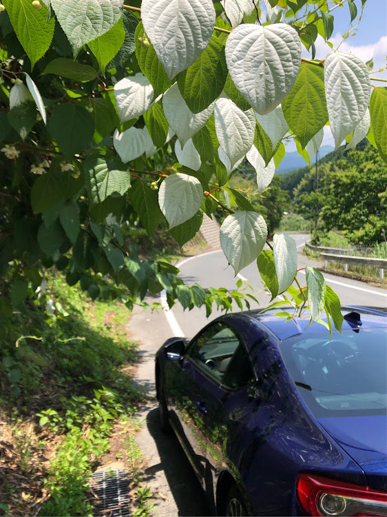 BRZのプリメーラ・もととりあじさい園・ピックアップチャレンジはお休み・丑の刻参り・マーベリックに関するカスタム事例の投稿画像16枚目