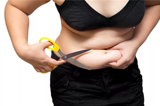 Almased Diet Plan Menu: how i mel pre quick esy helthy els esy h...
