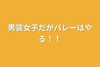 「男装女子だがバレーはやる！！」のメインビジュアル