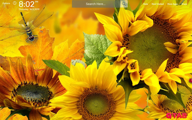 Sunflowers Wallpapers HD Theme