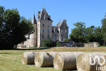 château à Blet (18)