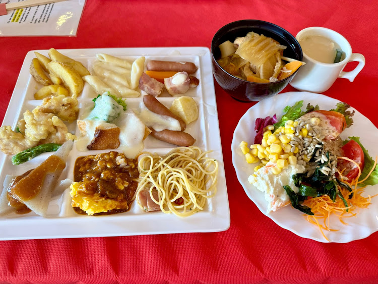 オデッセイの北杜市遠征・初のハイジの村・ユキちゃん食欲旺盛・40分一本勝負・しっかり明野フラワーフェスも堪能に関するカスタム事例の投稿画像11枚目