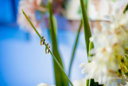 Hochzeitsfotograf Ernesto Michan (quitin). Foto vom 12. April 2018