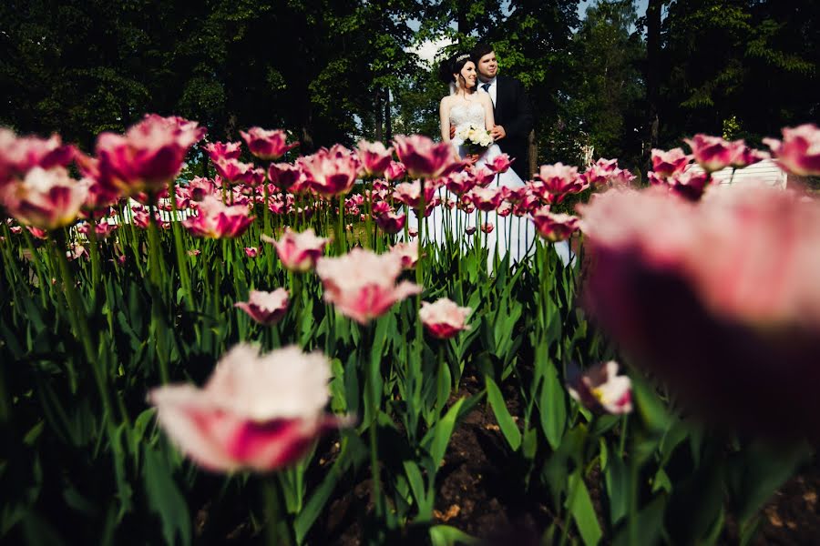 Photographe de mariage Vitaliy Shustrov (vitali). Photo du 14 juin 2016