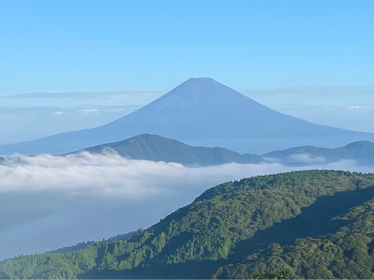 の投稿画像3枚目