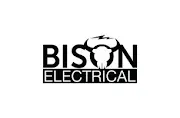 Bison Electrical Limited Logo