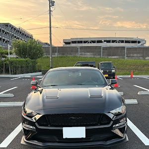 マスタング クーペ V8 GT