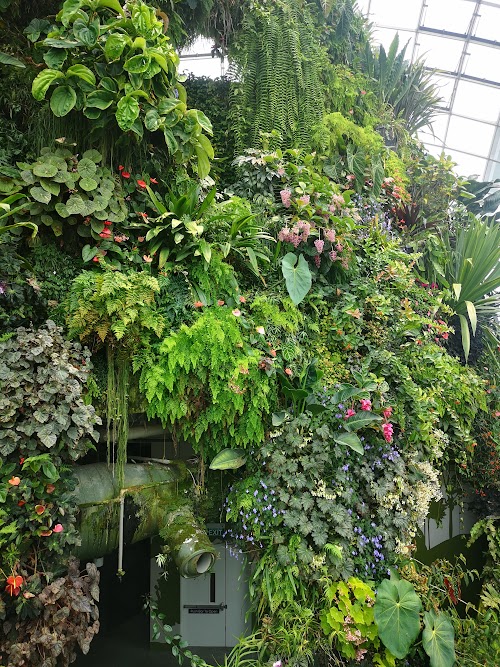 Malasia y Singapur en 12 días. Septiembre 2019 - Blogs de Asia Sudeste - Un día en Gardens by the Bay (13)