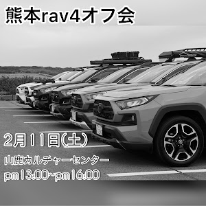 RAV4 MXAA54