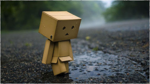 Danbo Images