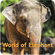 Download World of Elephant For PC Windows and Mac 1.0