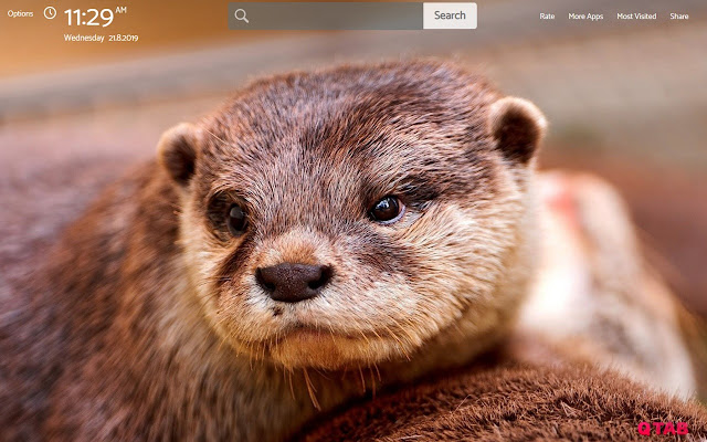 Otter Wallpapers New Tab Theme