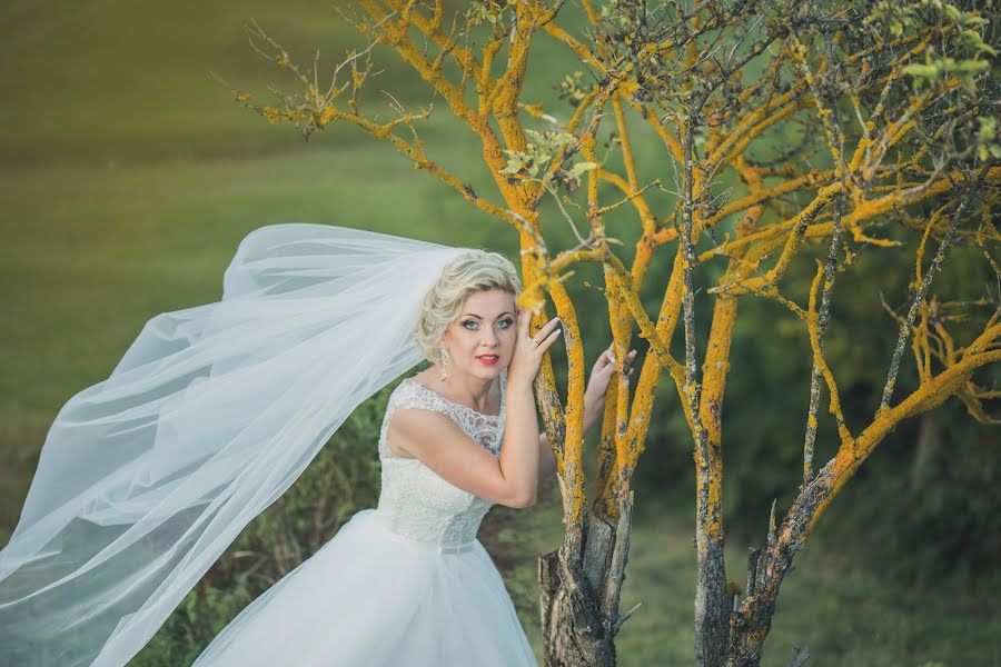 Wedding photographer Yuriy Rizhok (yurigi55). Photo of 18 October 2015