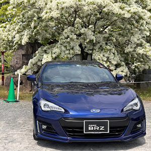 BRZ ZC6