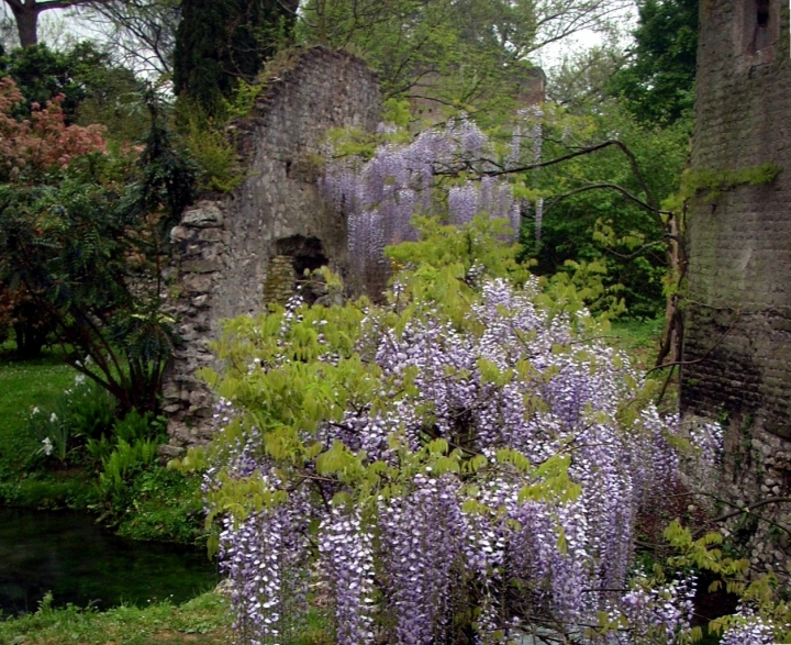 Impressionismo , autore: LA NATURA di newxeres