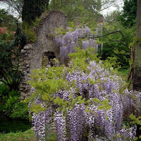 Impressionismo , autore: LA NATURA di 