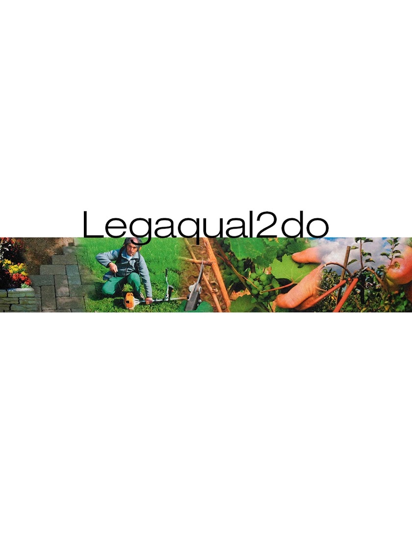 Legaqual2do Screen 3