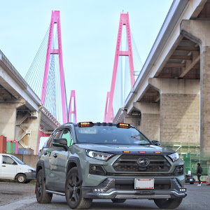 RAV4 MXAA54