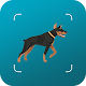 Download Dog scanner app: Dog identification app 2020 For PC Windows and Mac 1.0.0